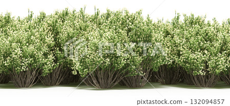 forest line with shadows under the trees, isolated on transparent background, 3D illustration, cg render forest line with shadows under the trees, isolated on transparent background, 3D illustration, cg render 132094857