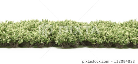 forest line with shadows under the trees, isolated on transparent background, 3D illustration, cg render 132094858