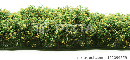 forest line with shadows under the trees, isolated on transparent background, 3D illustration, cg render forest line with shadows under the trees, isolated on transparent background, 3D illustration, cg render 132094859