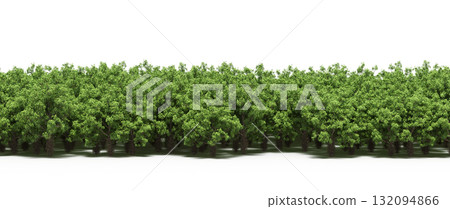 forest line with shadows under the trees, isolated on transparent background, 3D illustration, cg render 132094866