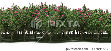 forest line with shadows under the trees, isolated on transparent background, 3D illustration, cg render forest line with shadows under the trees, isolated on transparent background, 3D illustration, cg render 132094867