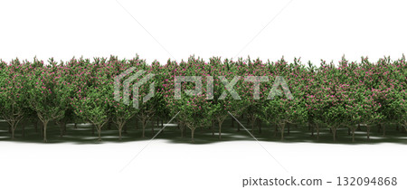 forest line with shadows under the trees, isolated on transparent background, 3D illustration, cg render forest line with shadows under the trees, isolated on transparent background, 3D illustration, cg render 132094868