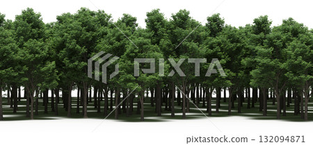 forest line with shadows under the trees, isolated on transparent background, 3D illustration, cg render 132094871