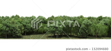 forest line with shadows under the trees, isolated on transparent background, 3D illustration, cg render forest line with shadows under the trees, isolated on transparent background, 3D illustration, cg render 132094880