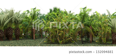 forest line with shadows under the trees, isolated on transparent background, 3D illustration, cg render forest line with shadows under the trees, isolated on transparent background, 3D illustration, cg render 132094881