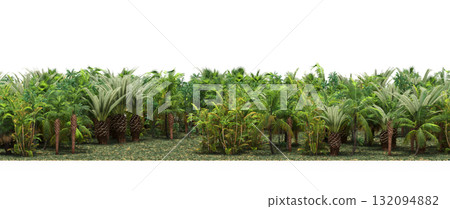 forest line with shadows under the trees, isolated on transparent background, 3D illustration, cg render 132094882