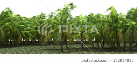 forest line with shadows under the trees, isolated on transparent background, 3D illustration, cg render forest line with shadows under the trees, isolated on transparent background, 3D illustration, cg render 132094883