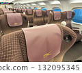 Shinkansen Green Car Seats 132095345