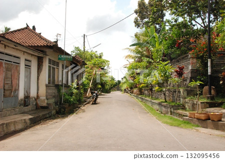 A view of Bali (near Gunung Kawi ruins, Bali, Indonesia) 132095456