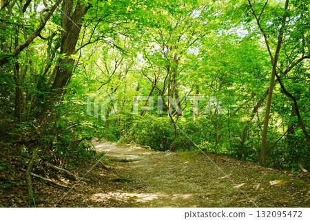 Japan, Saitama Prefecture, Chichibu, Nagatoro, Mt. Hodo Mountain Trail 132095472