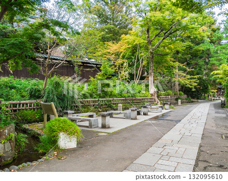 Tokyo Shichoji Temple Tokyo Shichoji Temple 132095610