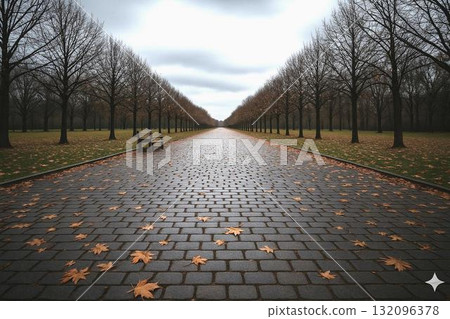 Late autumn to early winter: A landscape of silence and melancholy 132096378