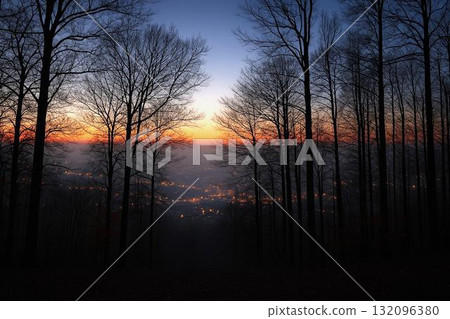 Late autumn to early winter: A landscape of silence and melancholy 132096380