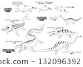 一組古代海洋爬行動物和魚龍（包括滄龍）的線條圖 132096392