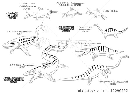 一組古代海洋爬行動物和魚龍（包括滄龍）的線條圖 132096392