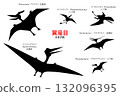 無齒翼龍和其他翼龍剪影集 132096395