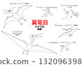 一組翼龍（如無齒翼龍）的線條畫 132096398