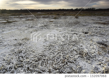 Saltpeter on the floor of a lagoon in a semi desert environment, La Pampa province, Patagonia, Argentina. 132097068