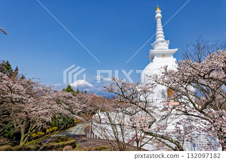 御殿場山和平公園和富士山的櫻花盛開 132097182