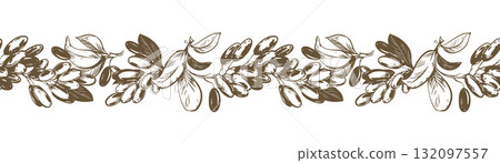 Linear sketch of barberry. Seamless horizontal pattern. Vector illustration of this sour berry. Imitation of an old engraving. Barberry branches lie on a table. Ink drawing. 132097557