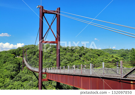 Star Swing/Suspension Bridge Star Swing/Suspension Bridge 132097850