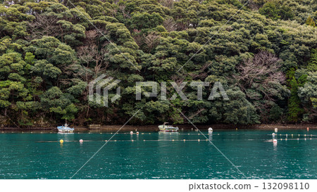 Tranquil Lake with Boats and Forest 132098110