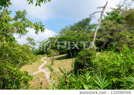 二條山登山道的風景 132098509