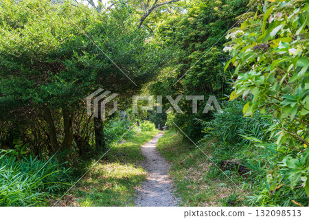 The straight mountain trail of Mt. Nijo The straight mountain trail of Mt. Nijo 132098513