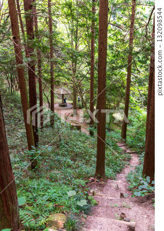 View of the gazebo to the south from the quarry west of Iwaya Pass on Mount Nijo View of the gazebo to the south from the quarry west of Iwaya Pass on Mount Nijo 132098544