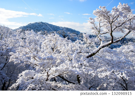 白雪覆蓋的清水寺、小安塔 132098915