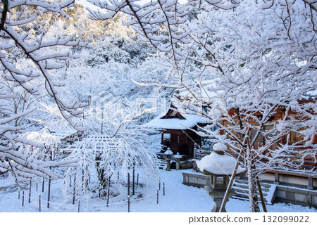 Snowy Kiyomizu-dera Temple 132099022