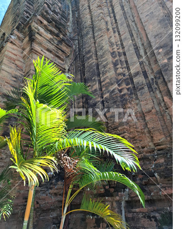 Palm Leaves Against Old Brick Wall 132099200