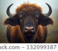 View of a buffalo's head with horns 132099387