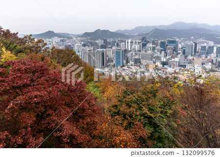 Aerial panoramic cityscape view of downtown Seoul, capital of South Korea with Autumn foliage in the foreground Aerial panoramic cityscape view of downtown Seoul, capital of South Korea with Autumn foliage in the foreground 132099576