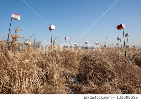 Artistic Birdhouse Installation in a Field Artistic Birdhouse Installation in a Field 132099659