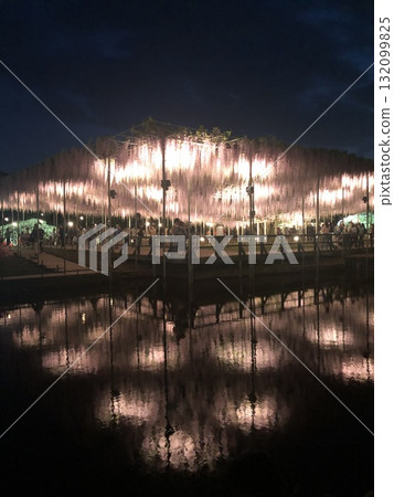 Large wisteria reflected on the water surface 132099825