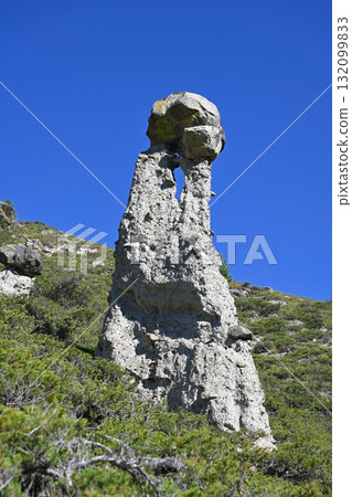 Unique natural phenomenon of Stone Mushrooms. Altai, Russia 132099833