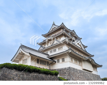 千葉縣千葉市千葉城豬之花城 千葉縣千葉市千葉城豬之花城 132099962