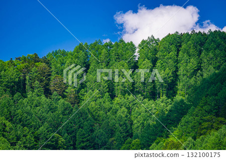 Fresh green mountain and blue sky Fresh green mountain and blue sky 132100175