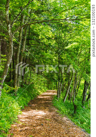 菖蒲公園週邊散步道 132100193