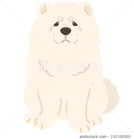 一隻面向前方坐著的白色鬆獅犬的簡單可愛插圖（無主線） 132100302