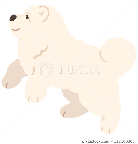 一隻跳躍的白色鬆獅犬的簡單可愛的插圖（沒有主線） 132100303