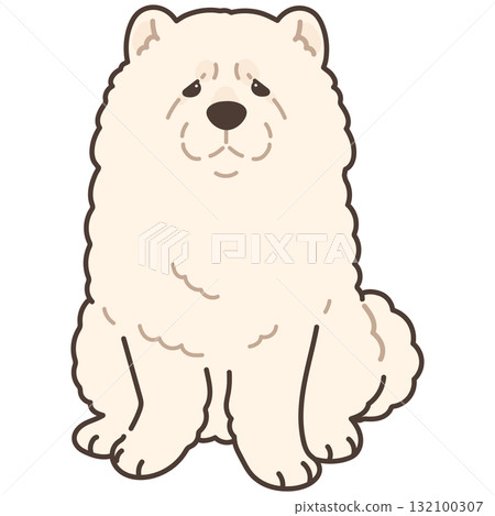 一隻白色鬆獅犬面朝前方坐著的簡單可愛的插圖,帶有主線 一隻白色鬆獅犬面朝前方坐著的簡單可愛的插圖,帶有主線 132100307