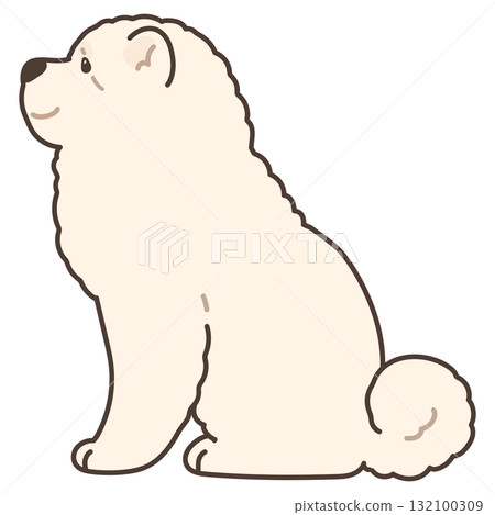 A simple and cute illustration of a white Chow Chow sitting sideways with main lines 132100309