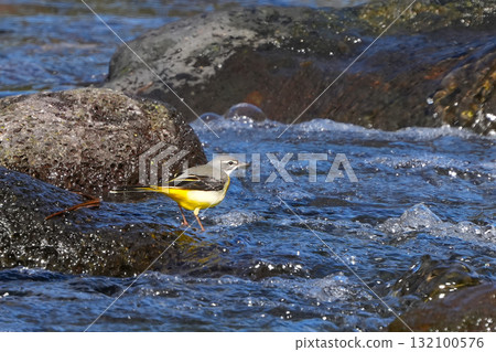 Kiisekirei living in a clear stream Kiisekirei living in a clear stream 132100576