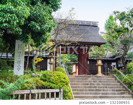 東京寺塔 東京寺塔 132100931