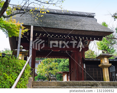 東京寺塔 132100932