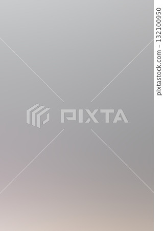 Soft Neutral Gradient Background with Subtle Blur  Abstract Art 132100950