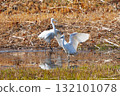Heron 132101078