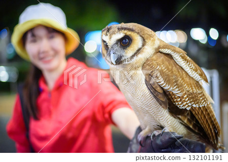 The owl sits on the happy girl's hand in night zoo The owl sits on the happy girl's hand in night zoo 132101191